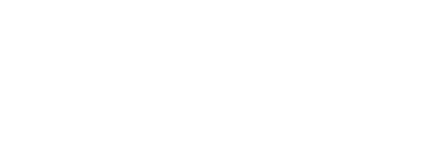 Lion Link Soluções Digitais